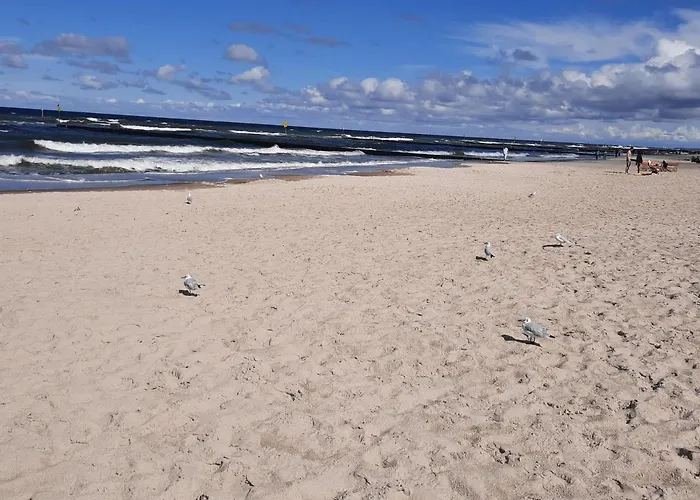 Maja Zielone Tarasy *